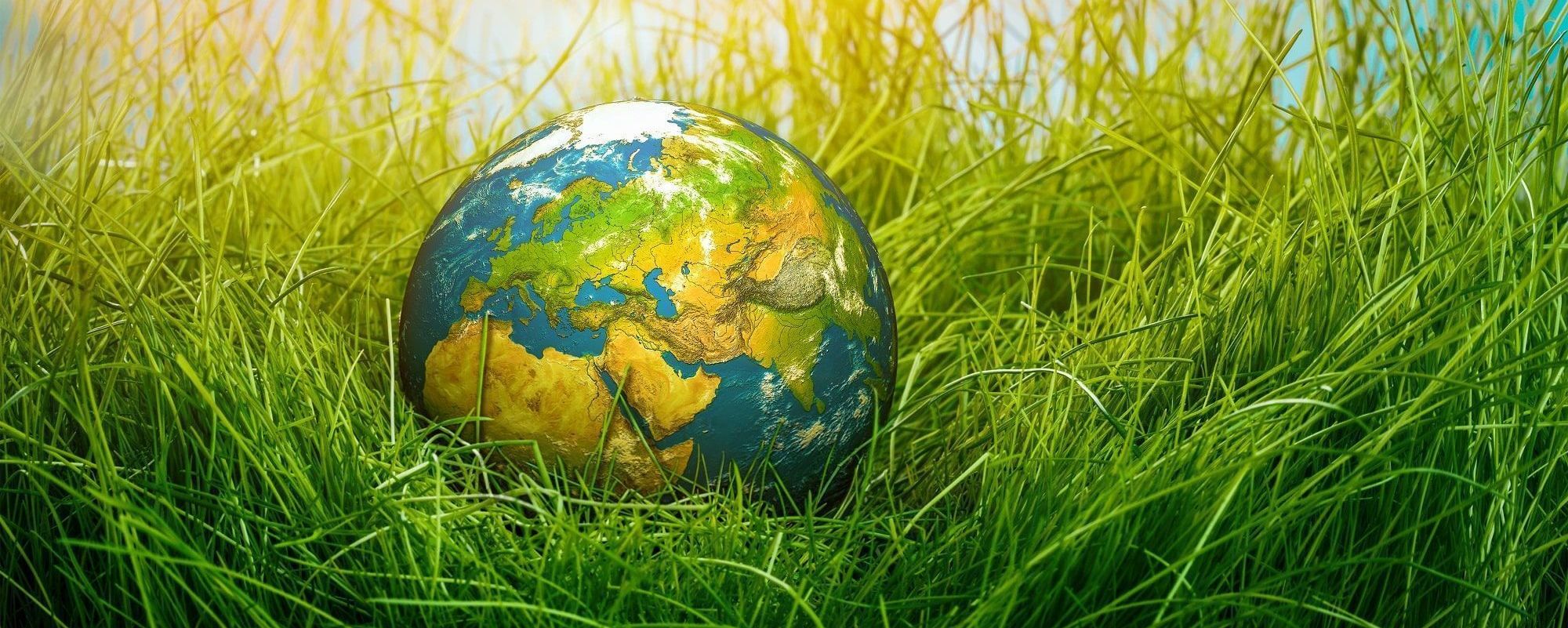 Экология республики беларусь. Экология. Час земли 2022. Планета с травой. День земли.